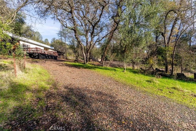 view of yard featuring a wooden deck