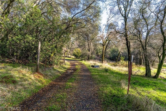 view of road