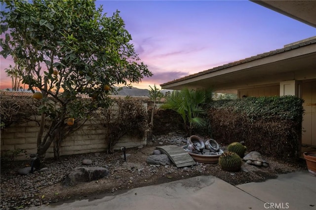 view of yard at dusk