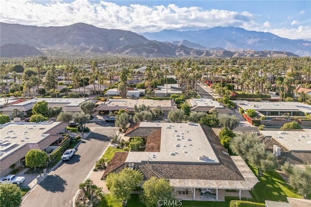 birds eye view of property featuring a mountain view