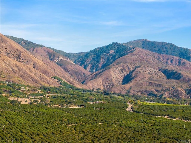 view of mountain feature