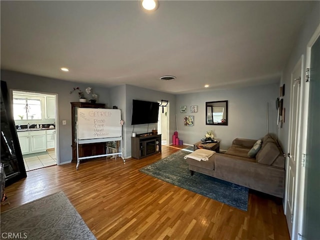 living room with sink and wood-type flooring