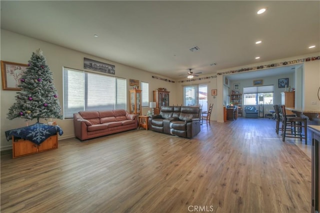 living room featuring hardwood / wood-style floors