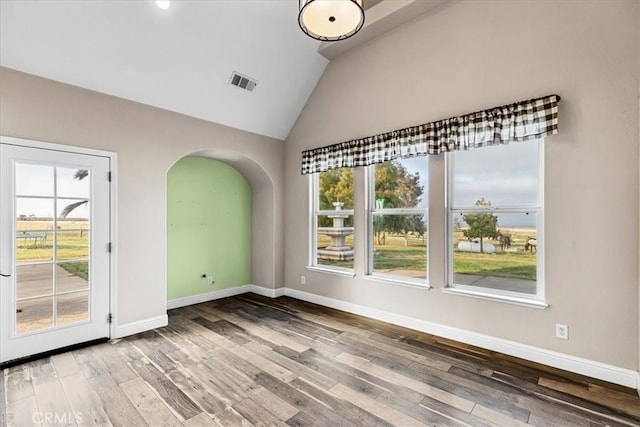 spare room featuring lofted ceiling, a healthy amount of sunlight, and hardwood / wood-style floors