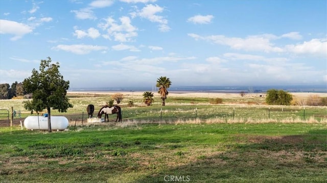 view of yard with a rural view