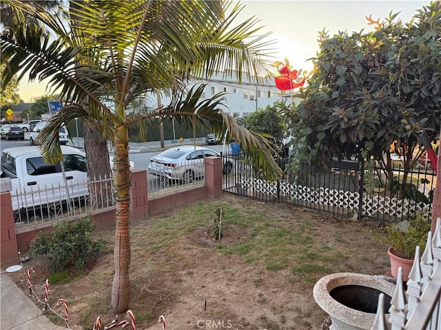 view of yard at dusk