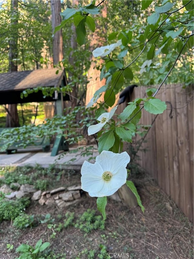 801 Kuffel Canyon Rd, Lake Arrowhead, CA 92385 - view of yard