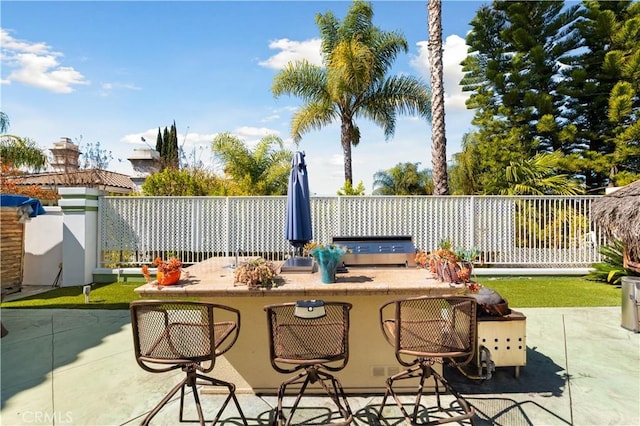 view of patio / terrace with area for grilling