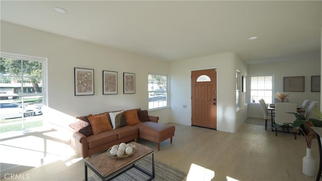 living room with a healthy amount of sunlight and light hardwood / wood-style flooring