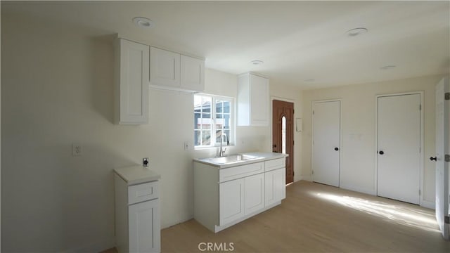 bathroom with sink and wood-type flooring