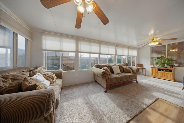 sunroom / solarium with ceiling fan and a healthy amount of sunlight