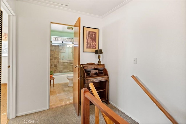 corridor with ornamental molding and carpet floors