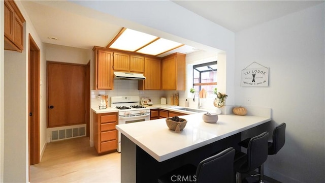 kitchen featuring sink, kitchen peninsula, white range with gas stovetop, and tasteful backsplash