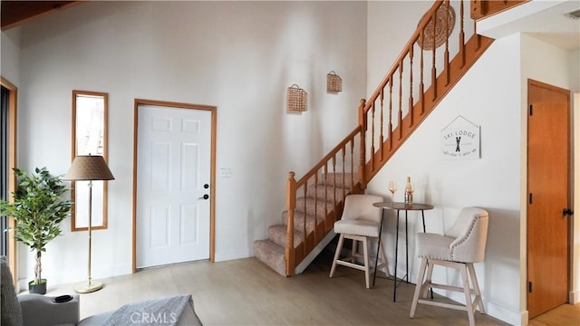 foyer featuring a towering ceiling