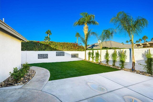 view of yard with a patio area