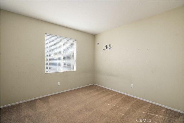 empty room featuring carpet floors