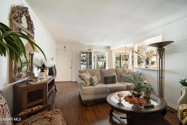 living room featuring ornamental molding and dark hardwood / wood-style floors