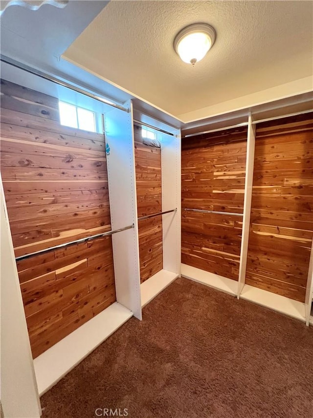 walk in closet with dark carpet