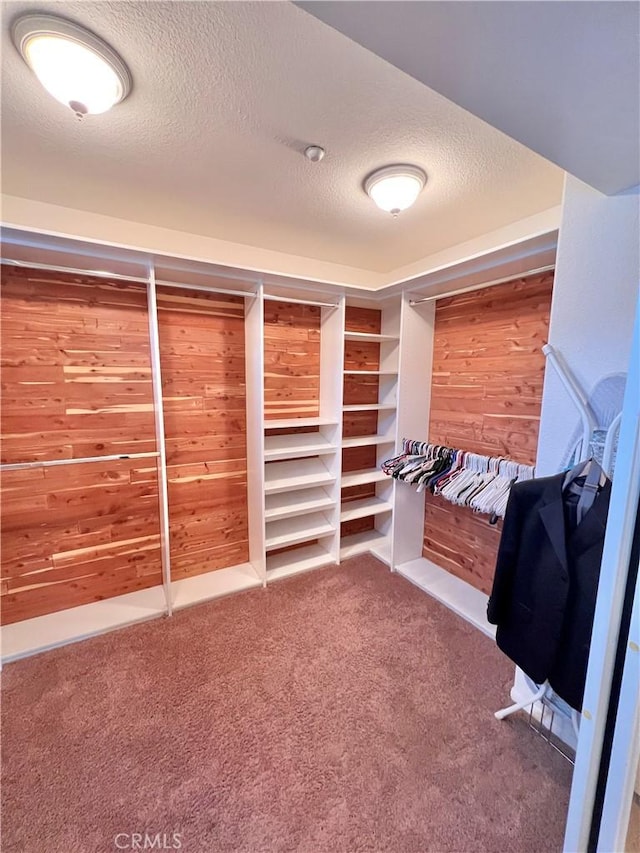 spacious closet featuring carpet flooring