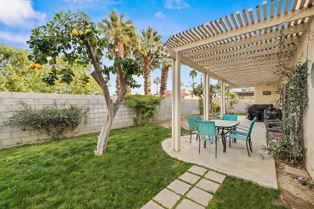 view of yard featuring a pergola and a patio