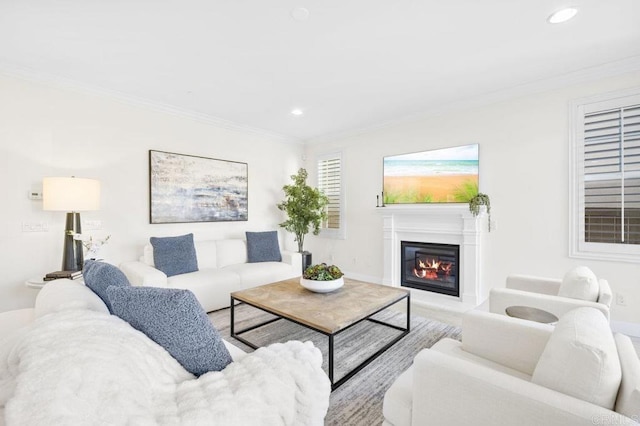 living room featuring crown molding