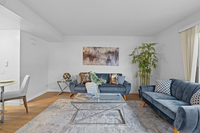 living room with hardwood / wood-style floors