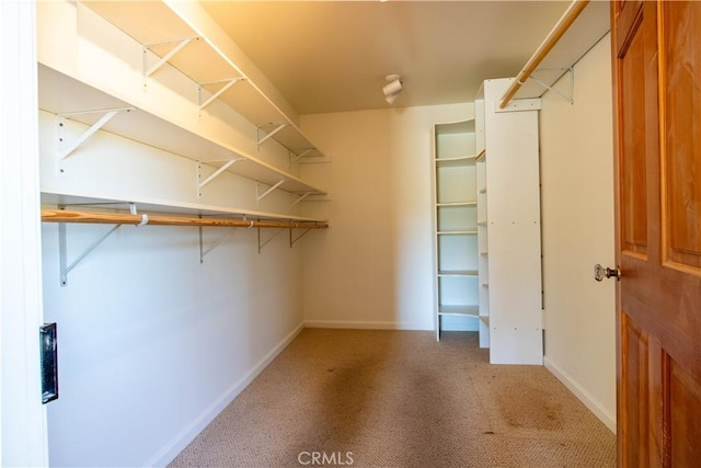 walk in closet with carpet