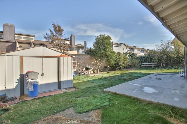 view of yard featuring a patio area and a storage shed