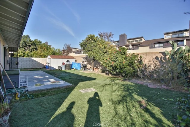 view of yard featuring a patio area and a storage shed