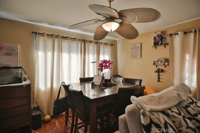 dining space featuring ceiling fan and dark hardwood / wood-style flooring