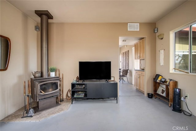 living room featuring a wood stove and plenty of natural light