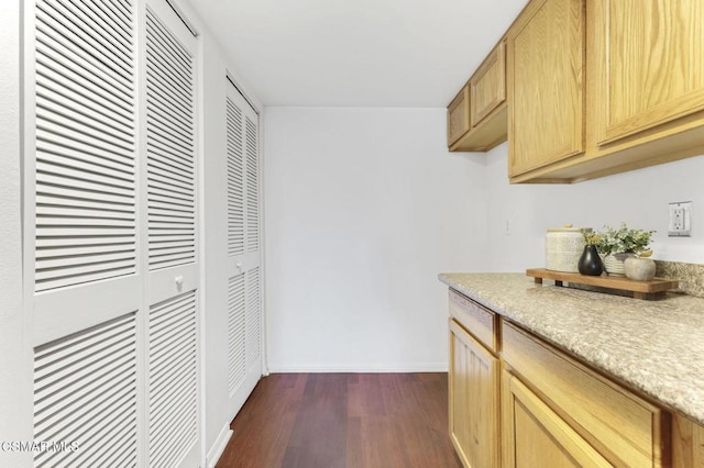 kitchen featuring dark wood-type flooring and light brown cabinets