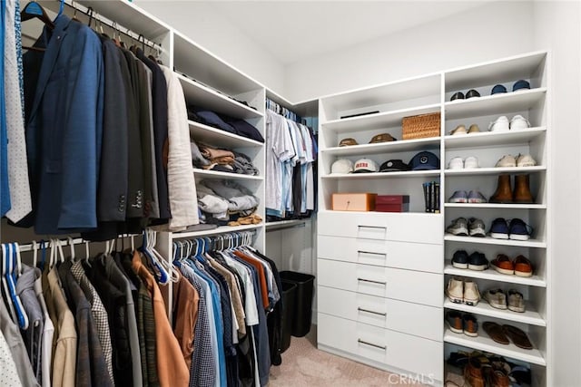 walk in closet with light colored carpet