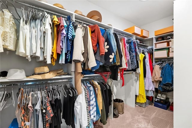 spacious closet featuring carpet