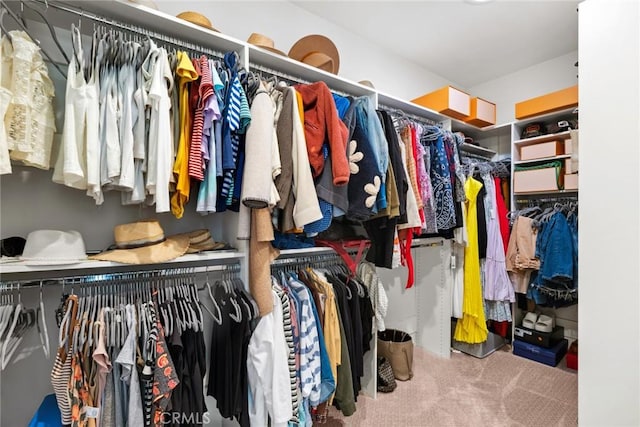 walk in closet with carpet