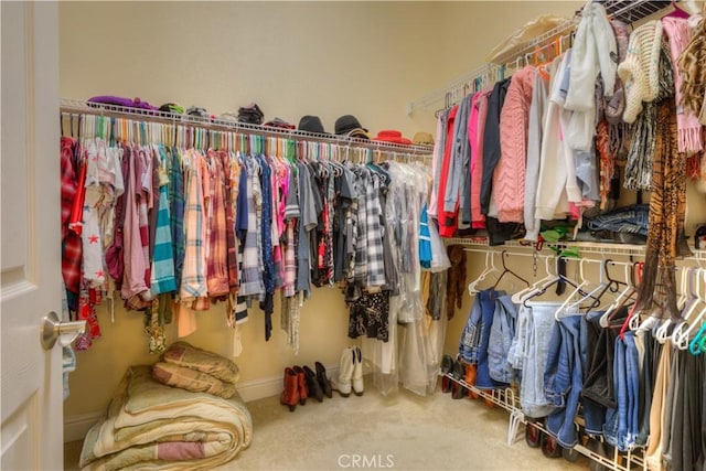 spacious closet featuring carpet floors