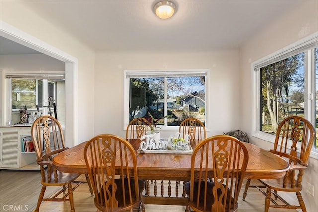 dining room featuring light hardwood / wood-style flooring and a wealth of natural light