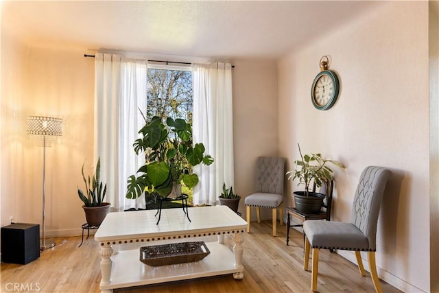 living area with light hardwood / wood-style floors