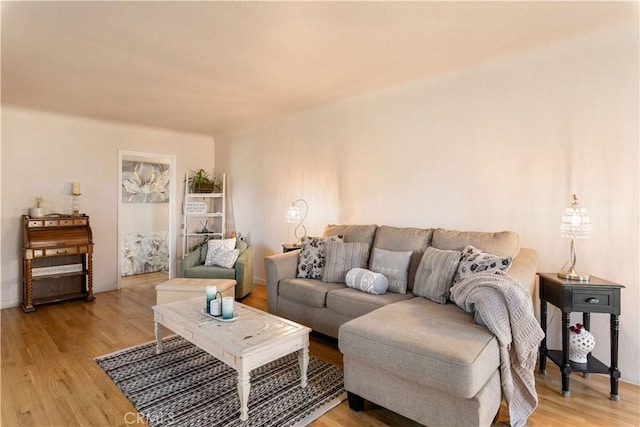 living room featuring light hardwood / wood-style floors