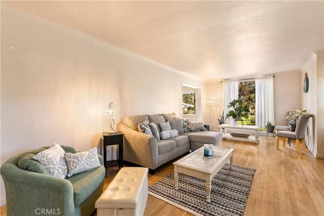 living room featuring light hardwood / wood-style flooring