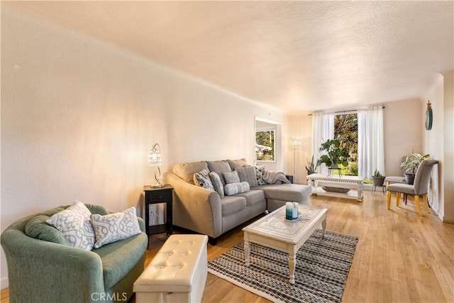 living area featuring light wood-style flooring and a textured ceiling