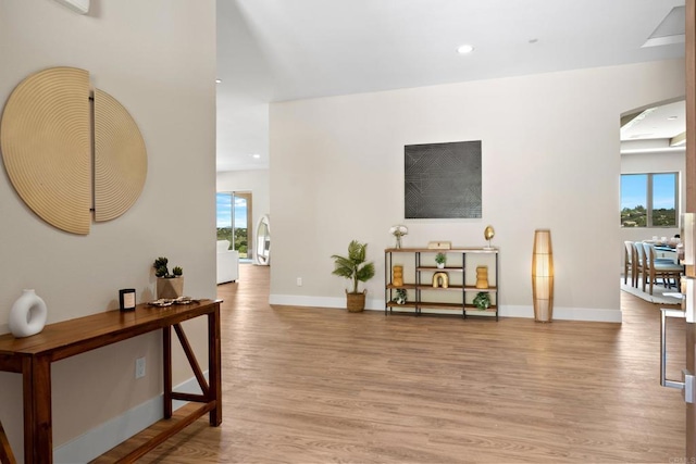 living room featuring light hardwood / wood-style floors