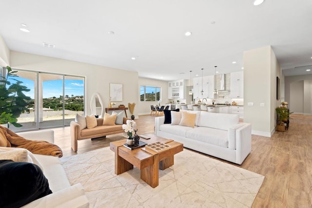 living room featuring light hardwood / wood-style floors and plenty of natural light