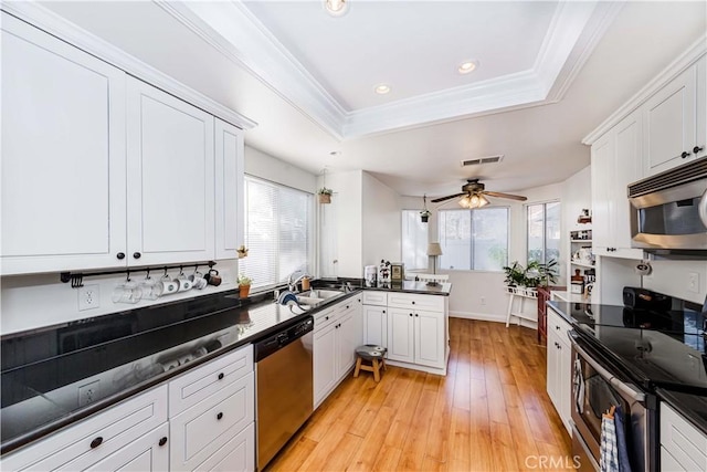 kitchen with sink, white cabinetry, a tray ceiling, ceiling fan, and stainless steel appliances