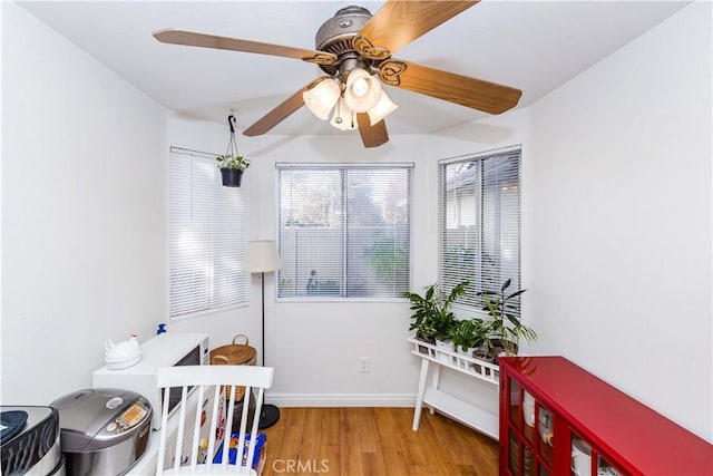 interior space featuring ceiling fan and light wood-type flooring