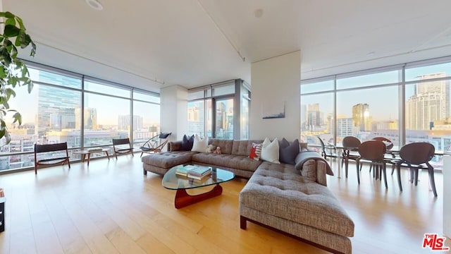 living room featuring light hardwood / wood-style flooring and expansive windows