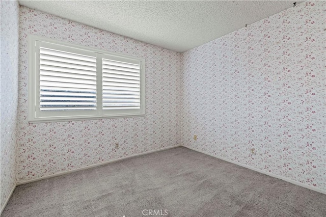 empty room featuring a textured ceiling and carpet flooring