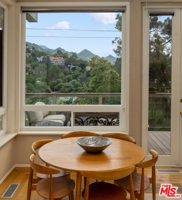 interior space featuring light wood-type flooring, a mountain view, and plenty of natural light