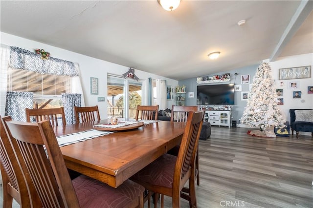 51490 Forest Boundry Rd, Anza, CA 92539 - dining area with wood-type flooring and vaulted ceiling