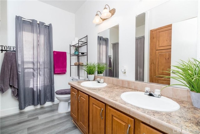 51490 Forest Boundry Rd, Anza, CA 92539 - bathroom with wood-type flooring, toilet, and vanity